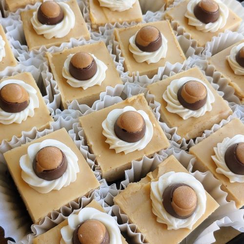 Buckeye Cheesecake Squares